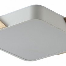Потолочный светильник Alberro ZRS.01285.48