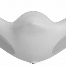 Накладной светильник Favourite Larus 4845-2W