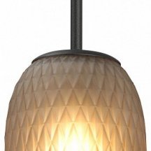 Потолочная люстра Vitaluce V28211-1/1S