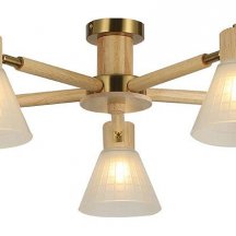 Люстра для натяжных потолков Arte Lamp Meleph A4096PL-5BR