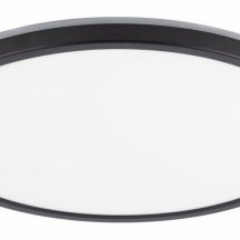 Настенно-потолочный светильник Citilux Basic Line CL738321EL