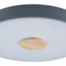 Потолочный светильник Loft IT Axel 10003/24 Grey