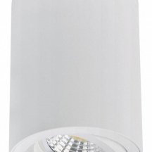 Точечный светильник Arte Lamp Sentry A1566PL-1WH