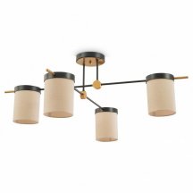 Потолочная люстра Freya Bogy FR5377CL-04B