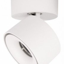 Спот Loft IT Focus 10323/A White