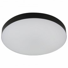 Потолочный светильник ЭРА Relict 48 Pult SPB-6-60-RC BK