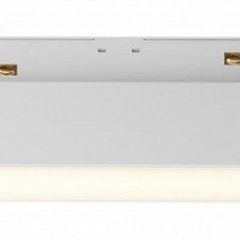 Трековый светильник Maytoni Basis TR074-2-12W3K-W