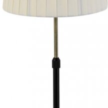 Интерьерная настольная лампа Lumion Tune 8302/1T