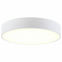 Накладной светодиодный светильник Citilux Тао CL712240N