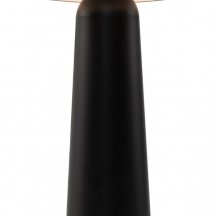 Интерьерная настольная лампа Mushroom FR6109TL-L4B