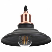Кухонный подвесной светильник ЭРА  PL4 BK/RC
