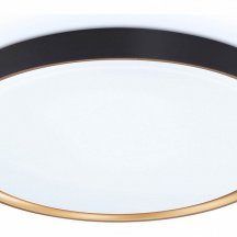 Потолочный светодиодный светильник Ambrella light Orbital Air FZ1249