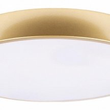 Потолочный светильник Loft IT Flims 10228/A