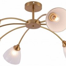 Потолочная люстра Debra 9189-308