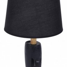 Интерьерная настольная лампа Lumion Visiona 8209/1T