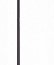 Светильник на штанге ST Luce Sormano SL1206.403.01