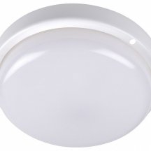 Накладной светильник Jazzway  ДПО-1034 12w 4000K IP54