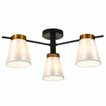 Люстра из Китая Escada Ambient ES0000056