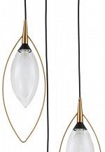 Подвесной светильник Indigo Fiore 13001/3P Black Подвесной светильник Indigo Fiore 13001/3P Black