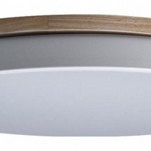 Потолочный светильник Loft IT Axel 10001/36 White