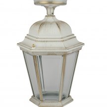 Потолочный светильник уличный Oasis Light ASTORIA 2 91405LA Gw