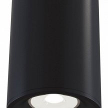 Потолочный светильник Maytoni Alfa C012CL-01B