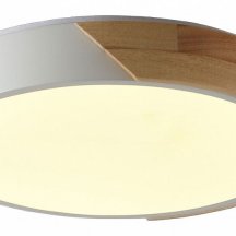 Потолочный светильник Alberro ZRS.01289.24