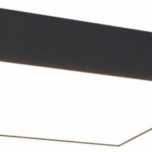 Потолочный светильник Maytoni Zon C067CL-L40B4K