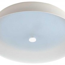 Светильник потолочный светодиодный ЭРА Классик с ДУ SPB-6-80-RC Locus RGB 80Вт RGB 3000-6500 с ДУ Б0053316