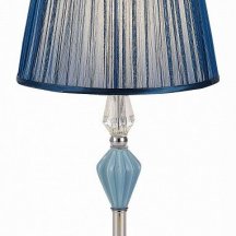 Настольная лампа декоративная EVOLUCE Balnea SLE1116-104-01