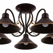Потолочная люстра Evoluce Ciolla SLE120402-05 из Италии