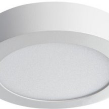 Потолочный светодиодный светильник Kanlux CARSA V2LED 12W-NW-W 28948