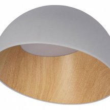 Потолочный светильник Loft IT Egg 10197/350 Grey