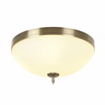 Потолочный светильник Biene MR1528-4C