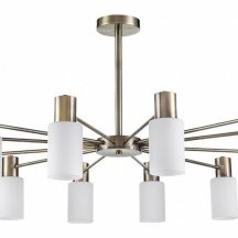 Потолочная люстра Lumion Mave 8100/12C