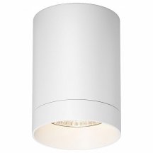 Потолочный светильник уличный Luxe O500CL-L10W3K