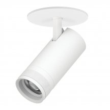 Спот Canno Pro C4206RS