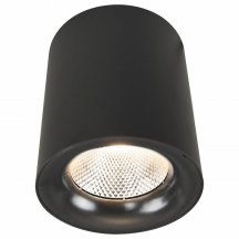 Потолочный светодиодный светильник Arte Lamp Facile A5118PL-1BK