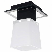 Накладной точечный светильник Lussole Lente LSC-2507-01