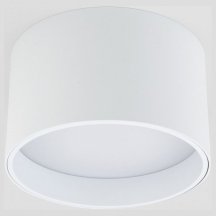 Потолочный светодиодный светильник Elektrostandard 25123/Led Banti 13Вт 4200K a058846