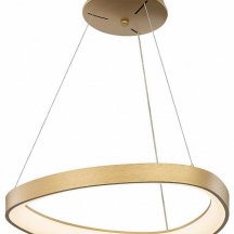 Подвесной светильник Citilux GENKA SMART CL756A042