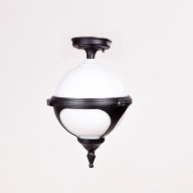 Потолочный светильник уличный Oasis Light VENA 88405A Bl