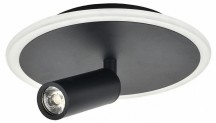 Настенно-потолочный светильник Escada 20046LED 20046SMA/01LED BK