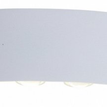 Уличный настенный светодиодный светильник ST Luce Bisello SL089.501.08