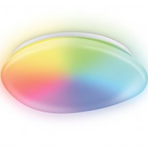 Потолочный светильник Orbital FZ1610