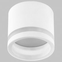 Потолочный светильник IMEX IL.0005.4500 WH