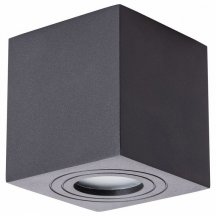 Потолочный светильник Arte Lamp Galopin A1461PL-1BK из Италии