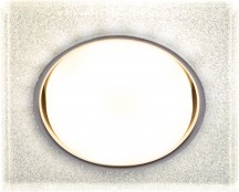 Точечный светильник ЭРА DK LD50 CH/SHSL