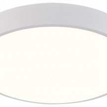 Потолочный светильник Natali Kovaltseva LED LAMPS 81112/5C