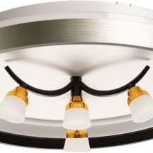 Потолочный светильник DeMarkt Норден 660014901